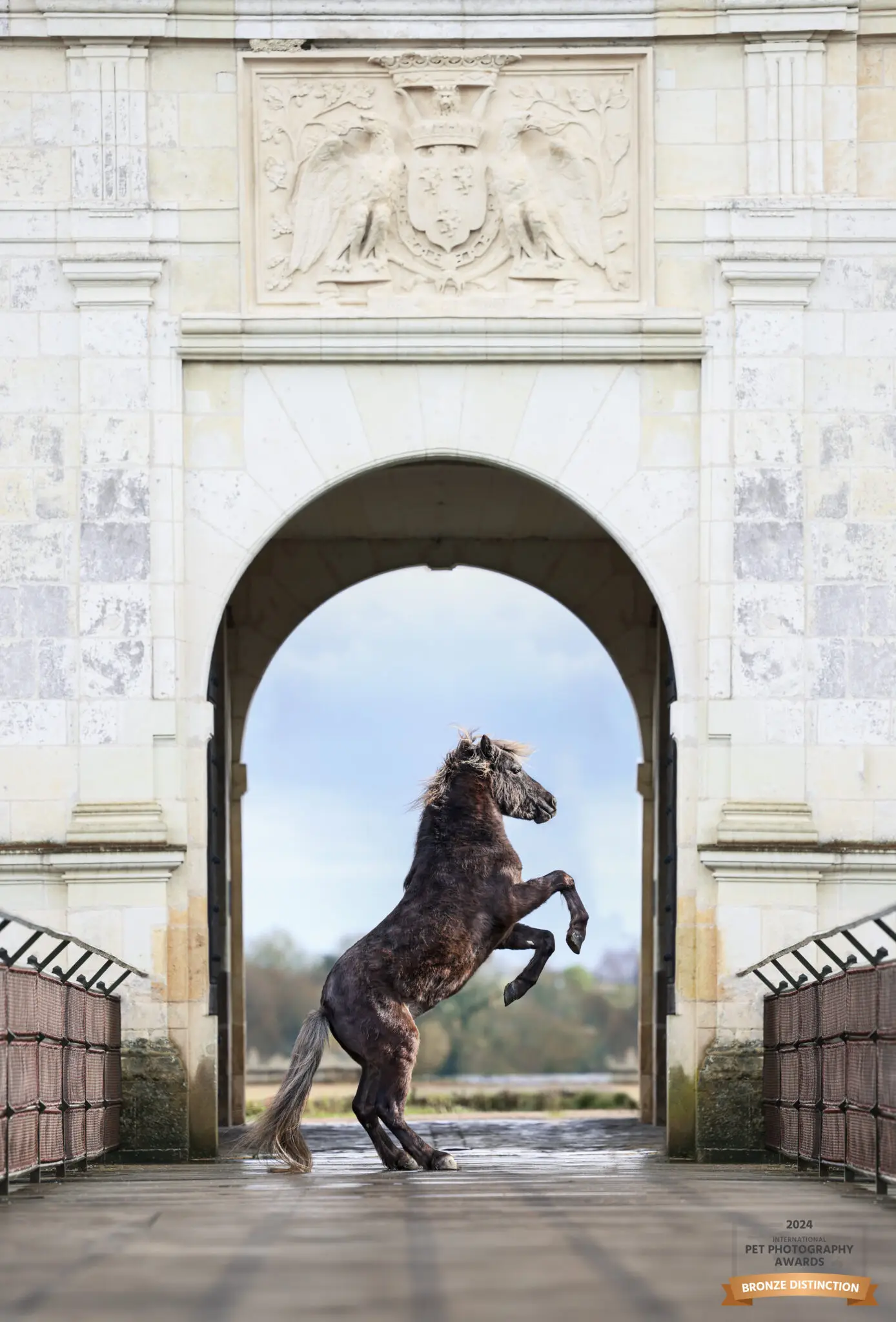 Poney cabré arche chateau